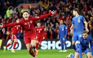 ysbSPORTS-冰岛队逆转实现晋级，取得胜利