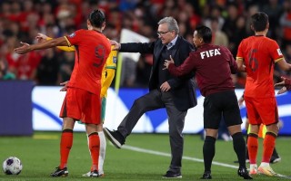 ysbSPORTS-世界杯赛场上的亚洲球队表现抢眼，取得胜利