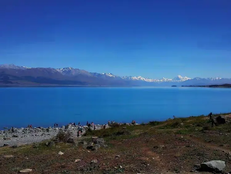 易胜博体育-新西兰男篮以微弱之势胜出，惊艳登场-第1张图片-易胜博体育